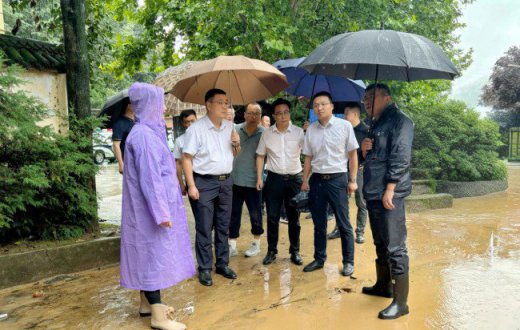 打好汛期“主動仗” 築牢防汛“安(ān)全堤” —— 寶雞市國(guó)有資産經營有限責任公司領導帶隊現場督導檢查防汛工作(zuò)